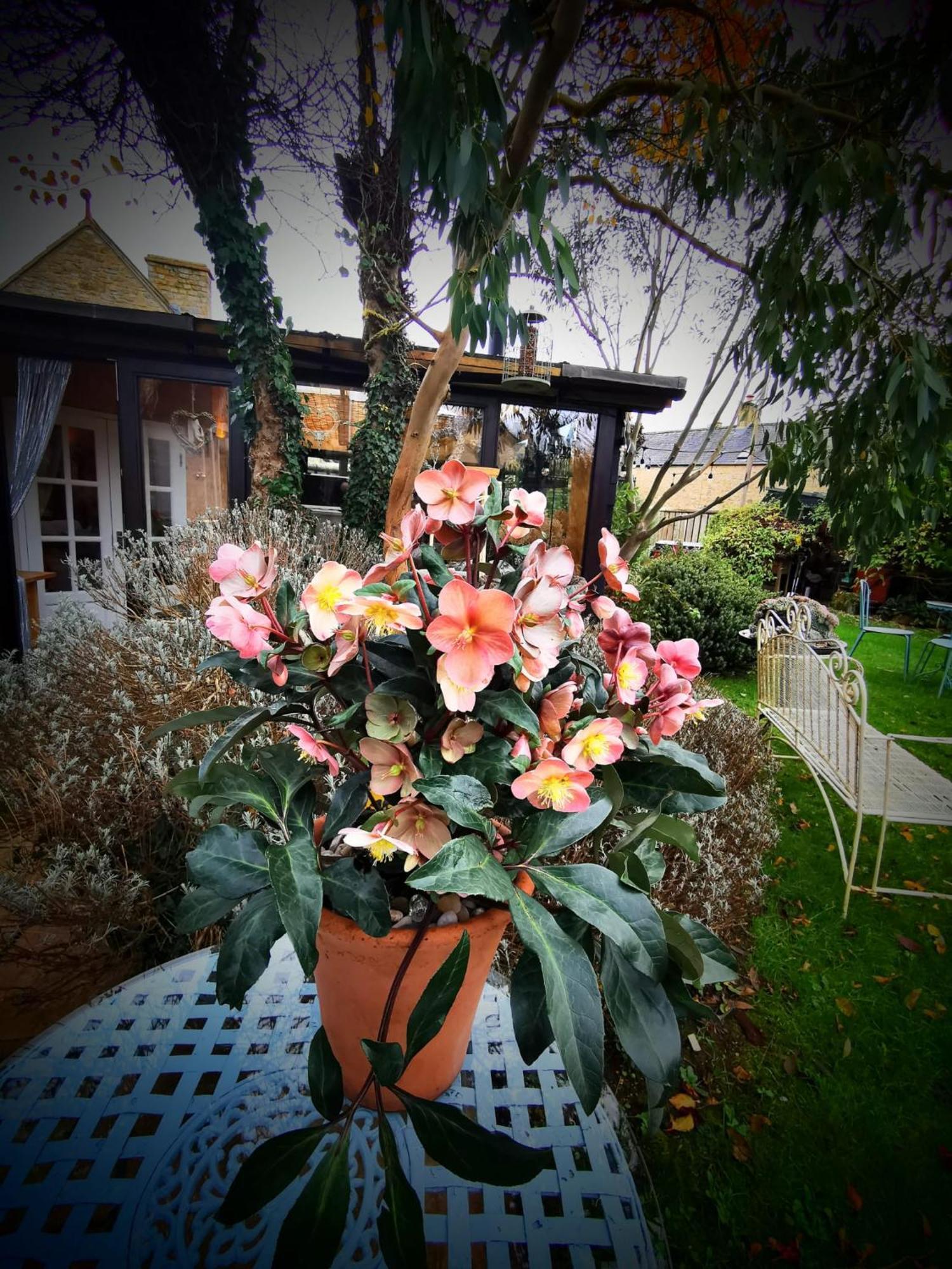 Cotswold Garden Chalet In Stow-On-The-Wold Zewnętrze zdjęcie